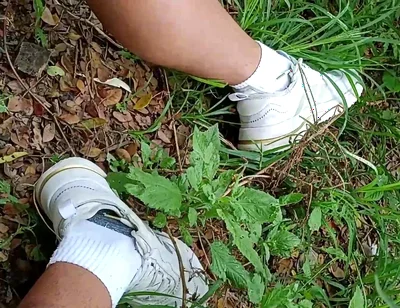 Compilation Pisses Urine by Master David