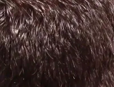 French bottom fucked bareback in the swimming pool by 2 rented boys