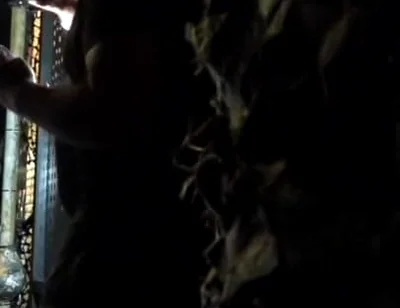 Ayden Taylor used raw by Nicolas Bardem