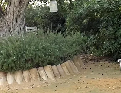 Agf: I Have Fun with My Friend in the Park in Full View of Everyone! Pee Included.