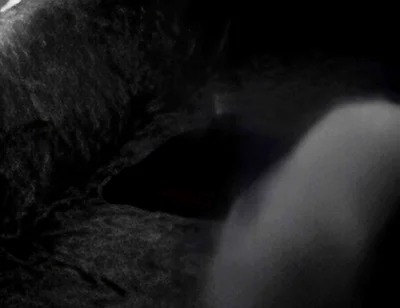 Hump Masturbation Black and White with the First Real Webcam in 1996