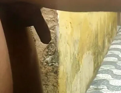 My Neighbor Loves to Play with Me in the Backyard