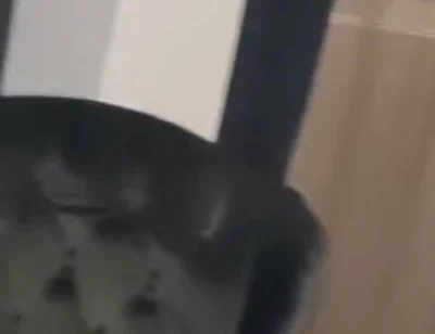 Blessed fucked raw by Casio