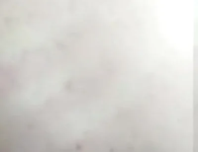 Watch Me Shake My Sexy Body and Ass